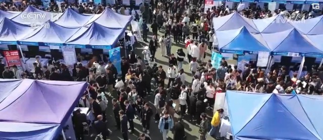 多部門全方位、精細化服務 助力學子高質量充分就業(yè) &ldquo;職&rdquo;通未來