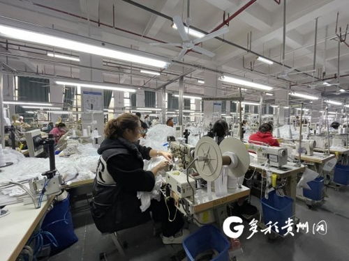 工廠建在家門口 產業就業雙豐收，職業中介活動助力發展